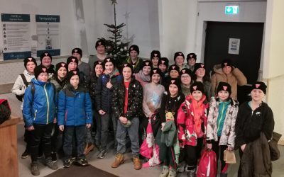 Gemeinsamer Jahresabschluss der männlichen und weiblichen D-Jugend