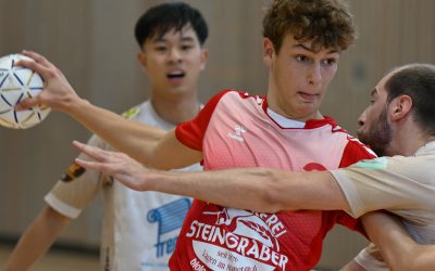 Handball am Wochenende